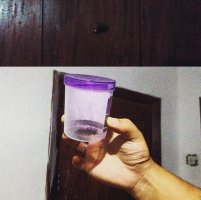 292915 (9).jpg