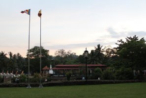 01111501 (20).jpg