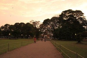 01111501 (24).jpg