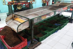 01111501 (37).jpg