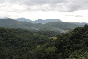01111501 (43).jpg