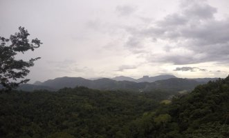 01111501 (75).jpg