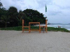 311215 (2).jpg