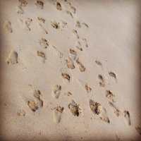 230516 (10).jpg