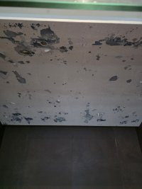 20122502 (13).jpg