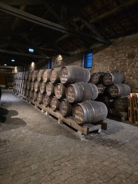 201225 - 46.jpg