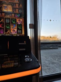 photo_2_2026-02-26_19-18-30.jpg
