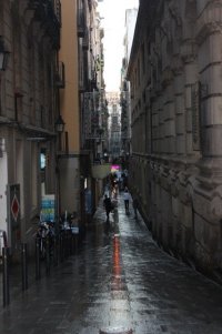 1111201135.jpg