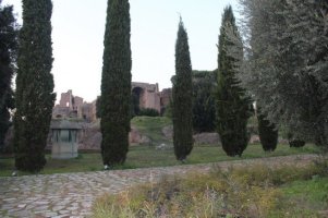 1111201161.jpg