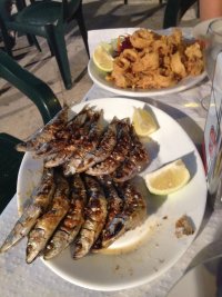 22071203-scaled.jpg